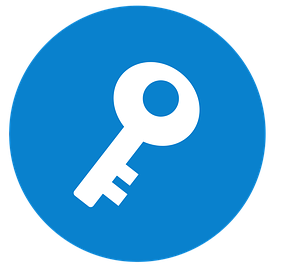 icon key
